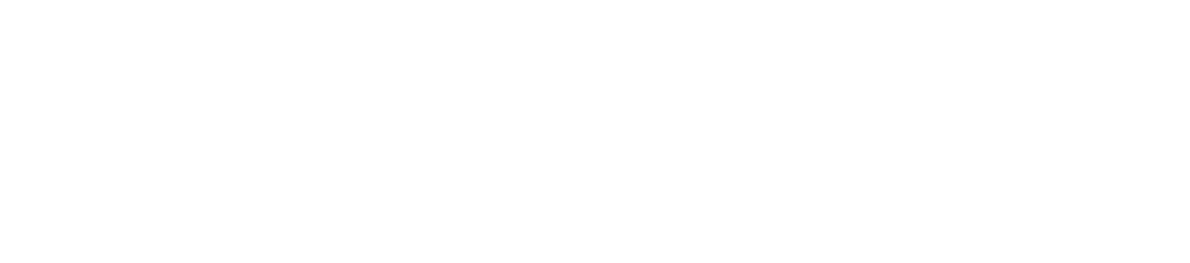 Natural Modern Style 埼玉の平屋